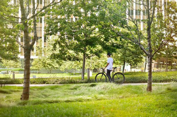 Siva Juliet - Alessandra & Co