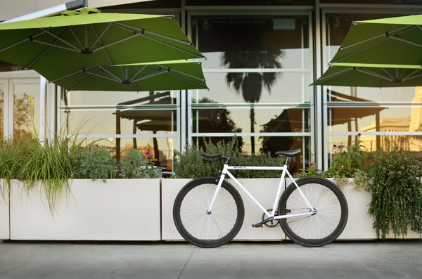 Quebec - Alessandra & Co