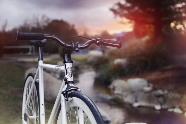 Zulu - Alessandra & Co