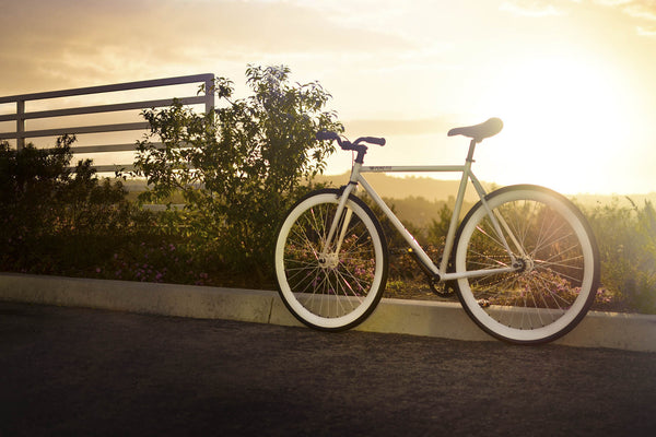 Zulu - Alessandra & Co