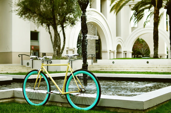 X-Ray - Alessandra & Co